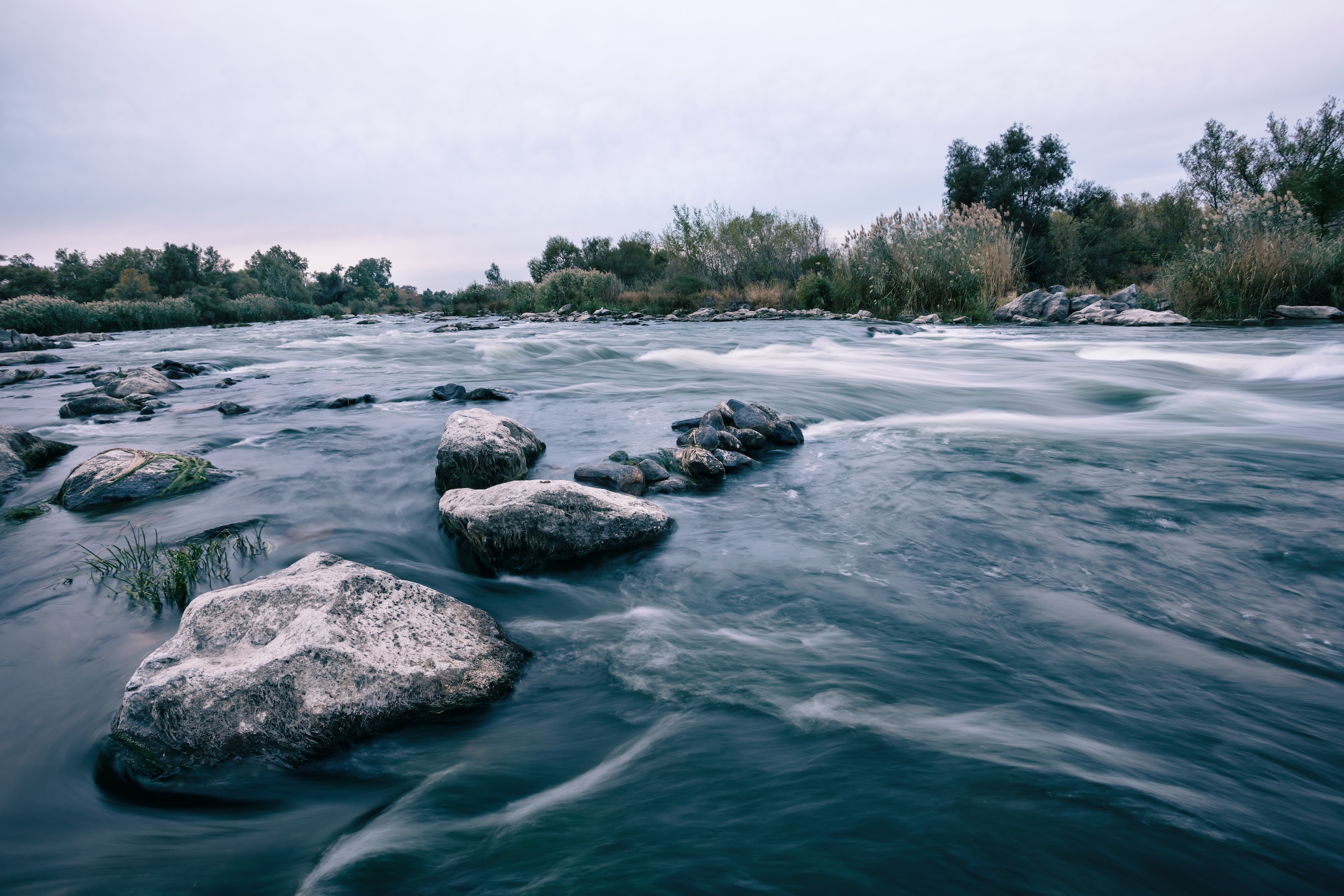 ¿Cómo crear una identidad visual sólida para tu marca? ¿Cómo crear una identidad visual sólida para tu marca?