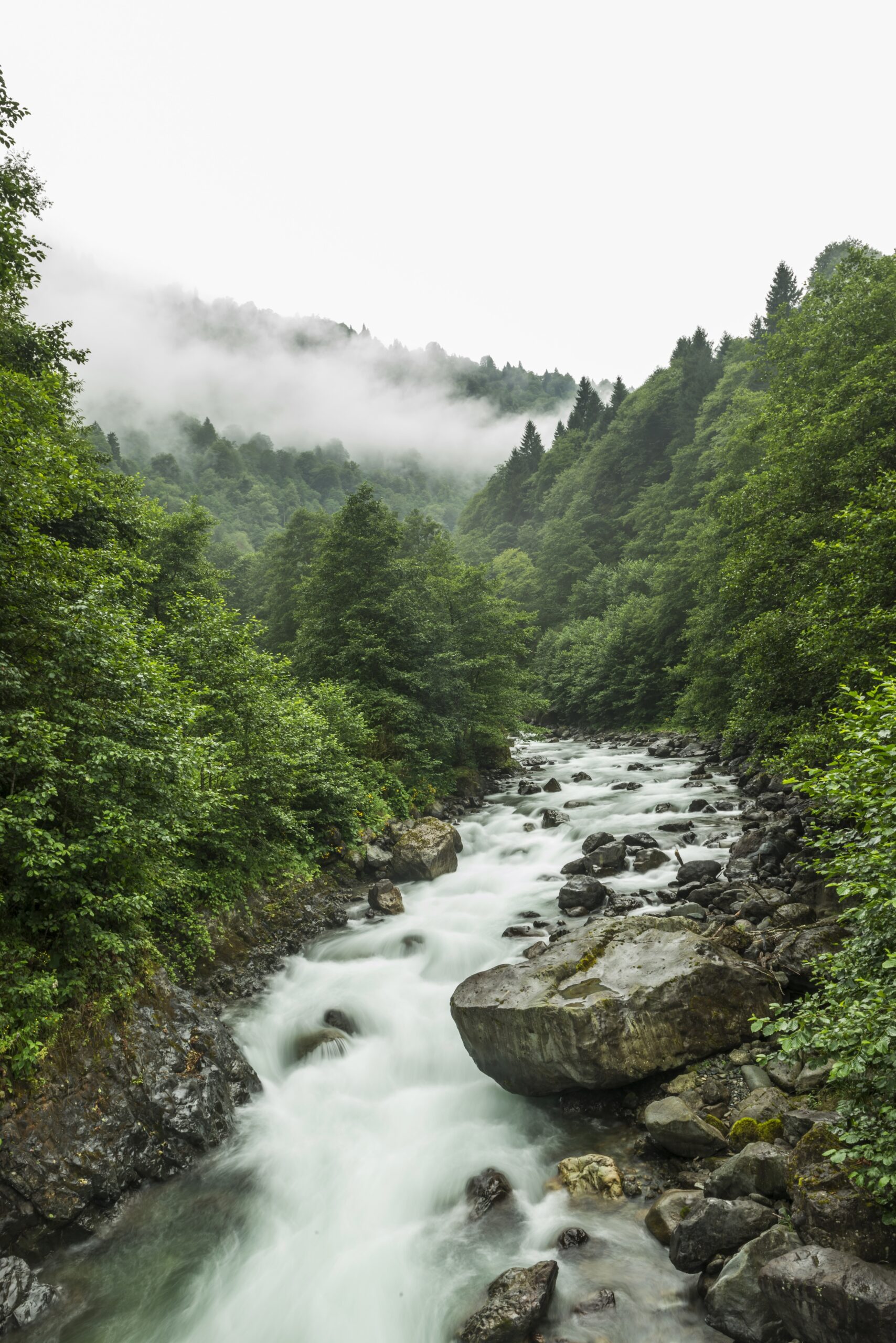 ¿Qué tipos de videos se pueden utilizar en una estrategia de marketing? ¿Qué tipos de videos se pueden utilizar en una estrategia de marketing?