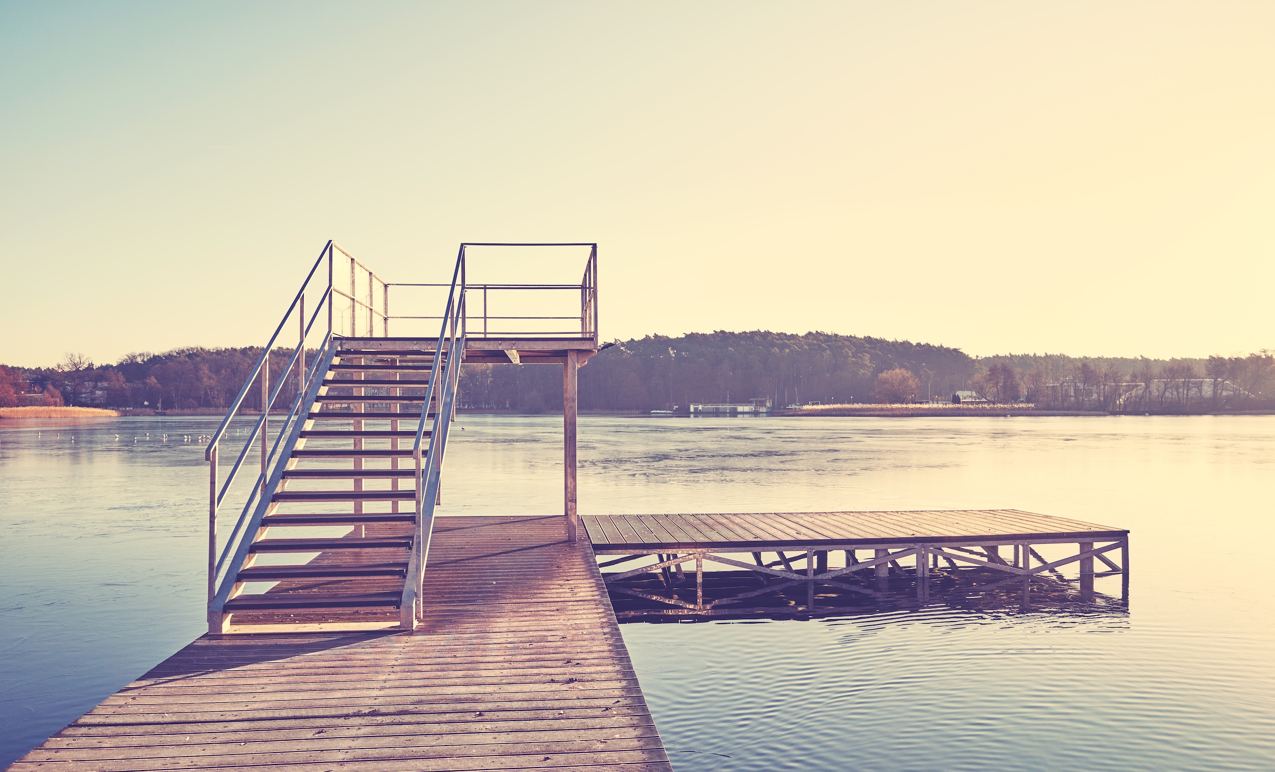 ¿Cuáles son los factores de posicionamiento orgánico? ¿Cuáles son los factores de posicionamiento orgánico?