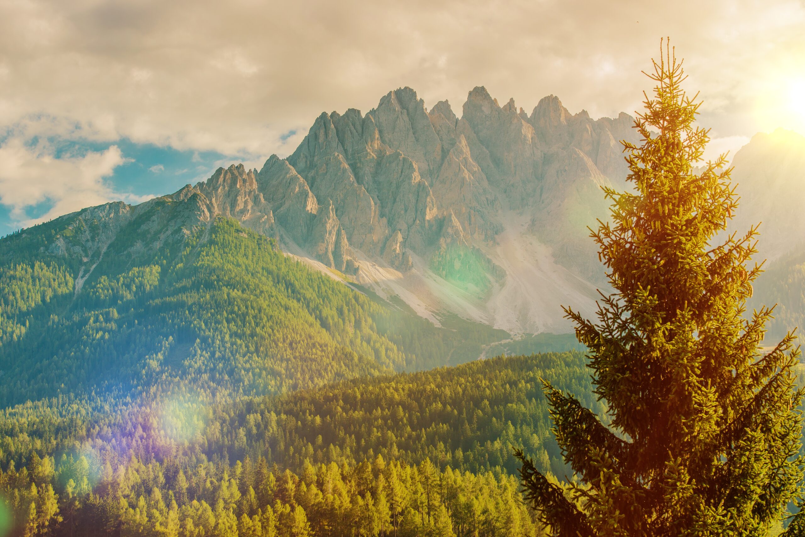 Marketing en video: ¿cómo el videomarketing ayuda a generar más ventas? Marketing en video: ¿cómo el videomarketing ayuda a generar más ventas?