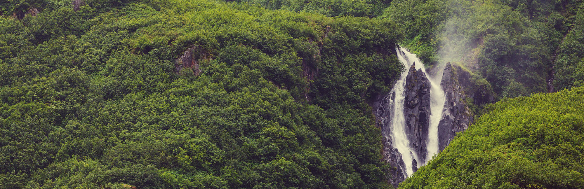 Branding para emprendedores Branding para emprendedores