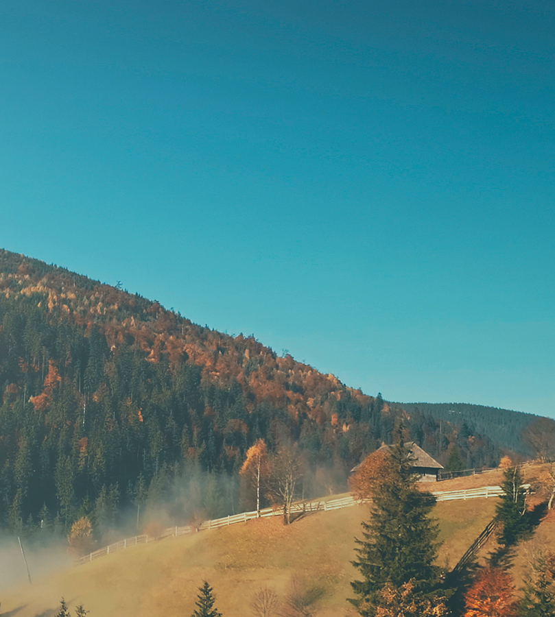 Servicios de Comunicación Estratégica Servicios de Comunicación Estratégica