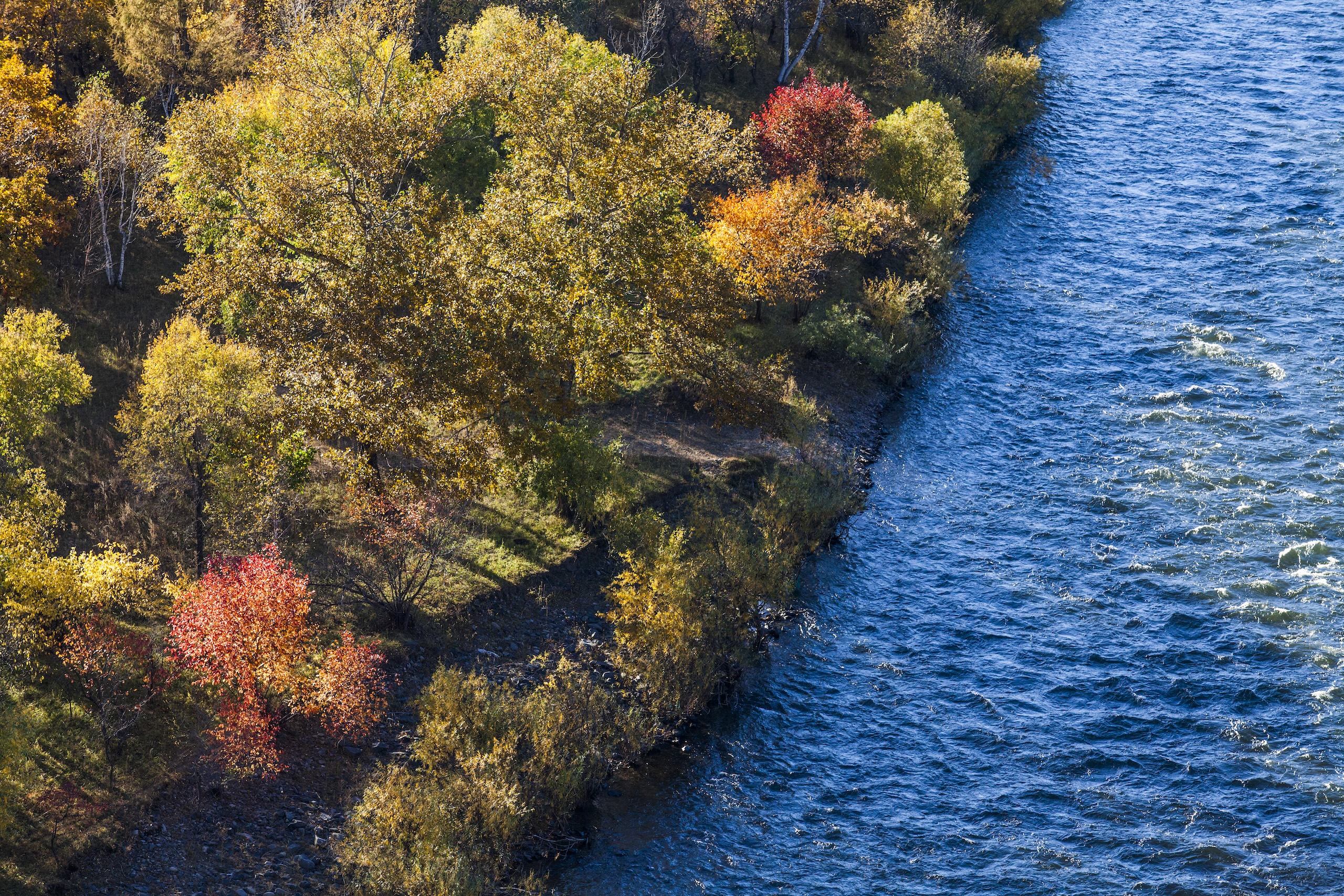 Branding estratégico: más que diseño, una decisión de negocio Branding estratégico: más que diseño, una decisión de negocio