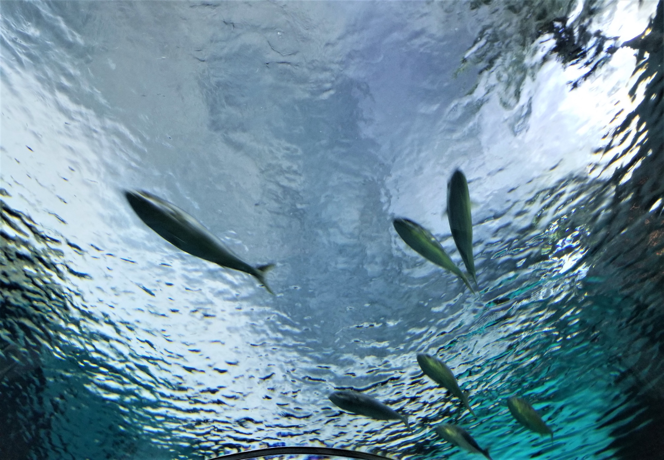 Inteligencia emocional en marketing: cuando la tecnología no basta para conectar con las personas Inteligencia emocional en marketing: cuando la tecnología no basta para conectar con las personas