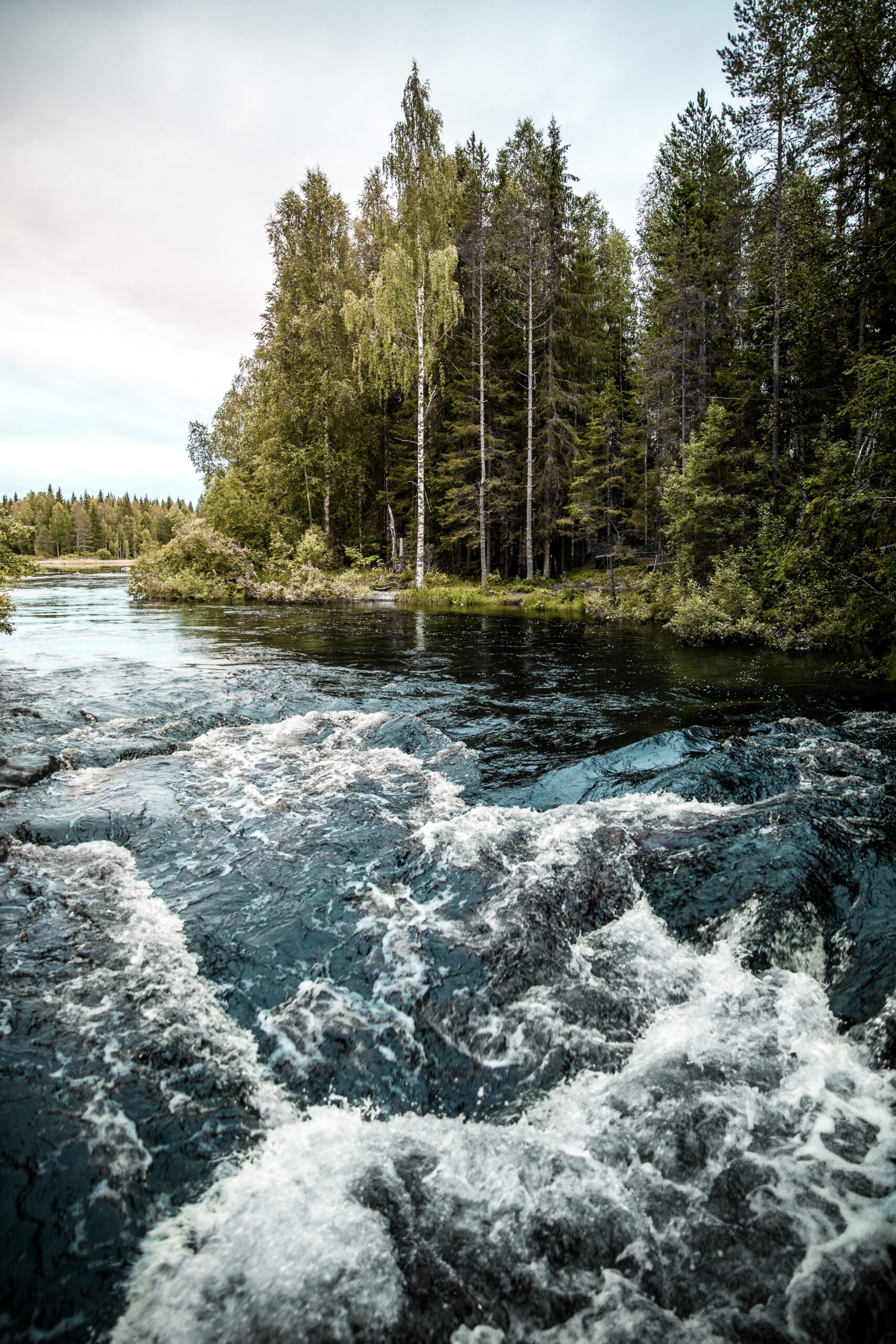 Por qué el propósito es la mejor estrategia de negocio en un mundo lleno de tendencias Por qué el propósito es la mejor estrategia de negocio en un mundo lleno de tendencias