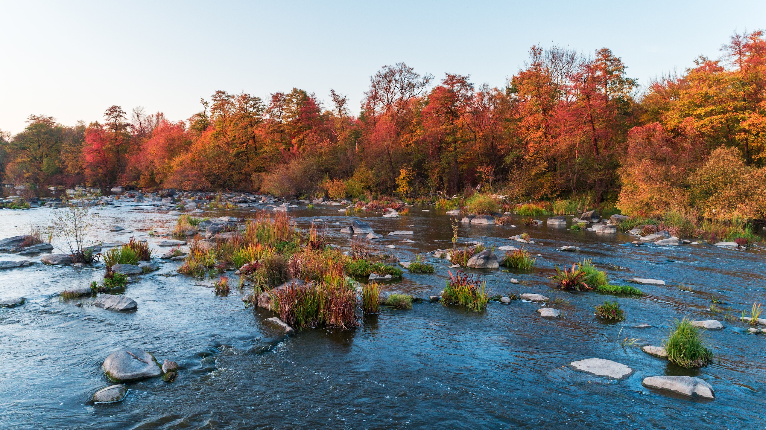 Lo que Google entiende de tu marca: SEO, AEO y el nuevo juego de las respuestas Lo que Google entiende de tu marca: SEO, AEO y el nuevo juego de las respuestas