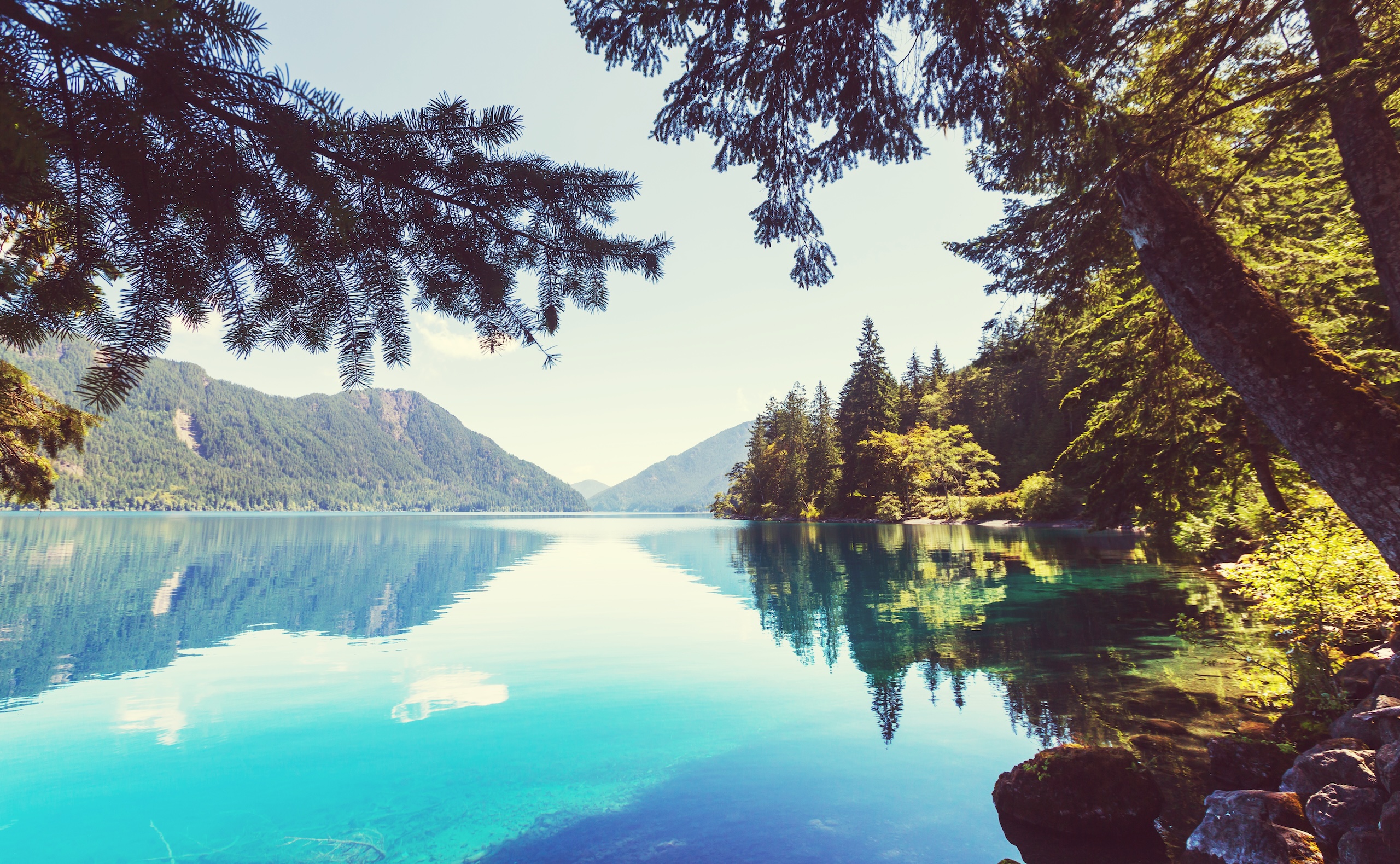 Por qué el marketing no funciona cuando la marca no está bien definida Por qué el marketing no funciona cuando la marca no está bien definida